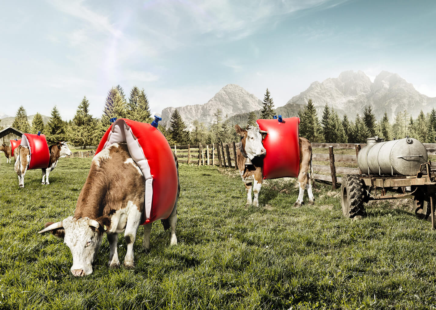 Weil wir für die Umwelt und gegen steigende Meeresspiegel sind